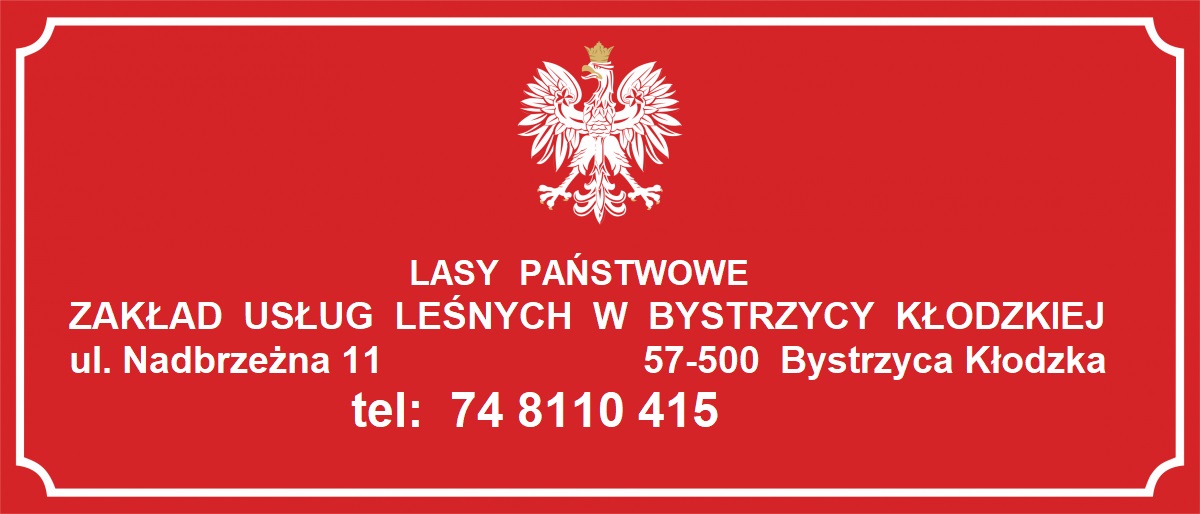 Headquarters Zakład Usług Leśnych w Bystrzycy Kłodzkiej